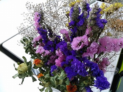 <�h���C�t�����[><noscript><img src=